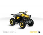 CAN-AM Renegade 800R X-xc